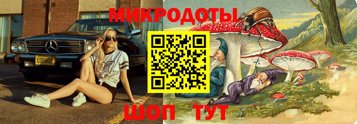 Галлюциногенные грибы Magic Shrooms  Галлюциногенные грибы GOLDEN TEACHER  Вход с VPN  Кашира 